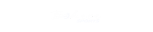 logo-bohrer