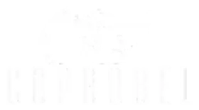 Logo Nova Harpia 10
