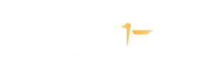 logo-metamorfose